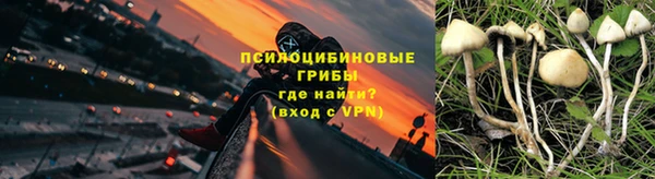 бошки Аркадак