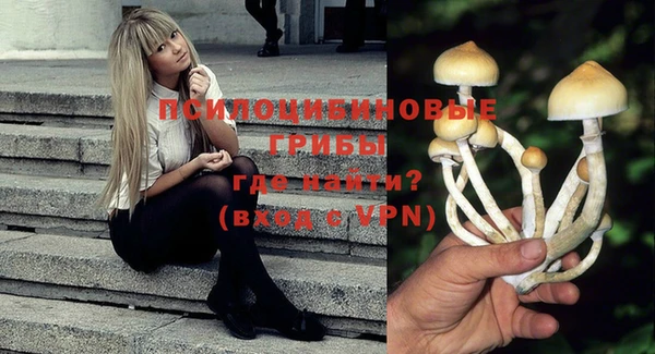 бошки Аркадак