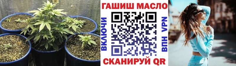 МЕГА ТОР  Реж  ТГК Wax  где купить  