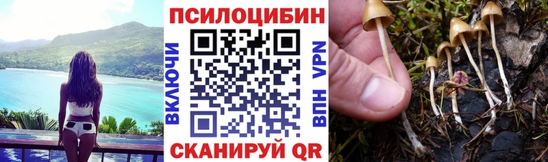 даркнет сайт  Реж  Псилоцибиновые грибы Magic Shrooms 